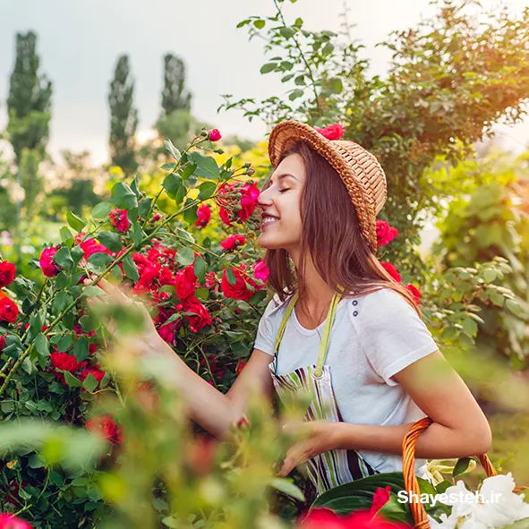 The meaning and power of smell